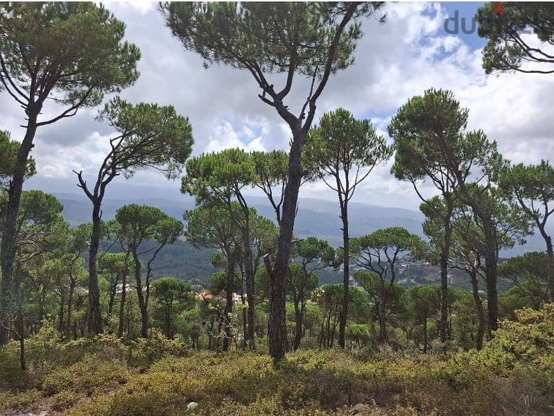 1000m2 Land in Bickfaya,talet tamraz. عقار للبيع في بكفيا،تمرز 1