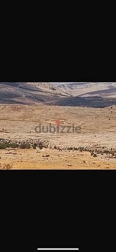 ارض للبيع  في راشيا الوادي  بكيفا   land for sale in rashaya w 0