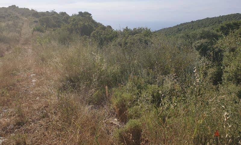 1975m2 Land in Aalali,Batroun. عقار للبيع في العلالي،البترون 0