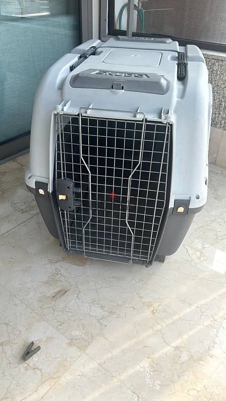 large dog crate 2