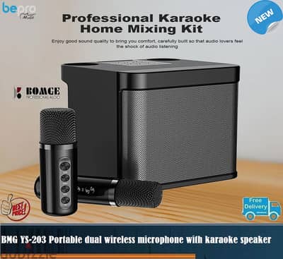 YS-203 Portable dual wireless microphone with speaker integrated