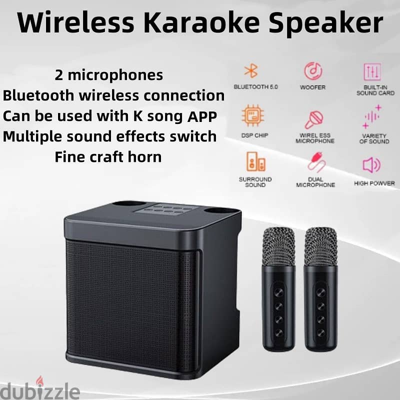 YS-203 Portable dual wireless microphone with speaker integrated 1