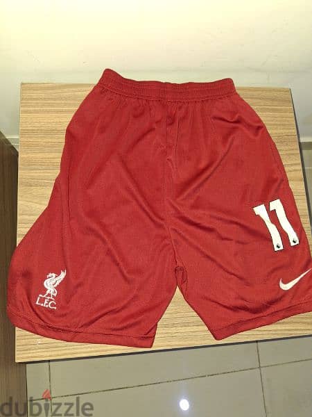 Liverpool jersey 3