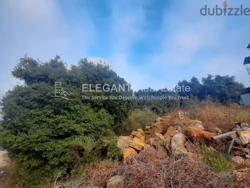 Industrial Land for Sale | Slight Slope | Ain Ed Delbe - Jbeil 1