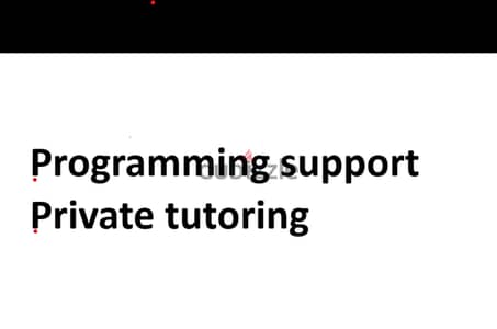 private tutor in programming