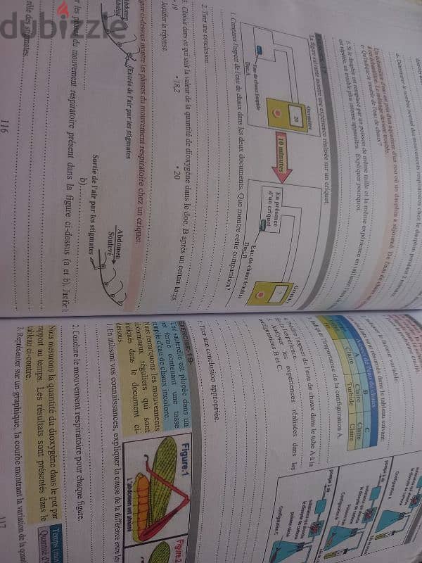 bio guide eb7 2