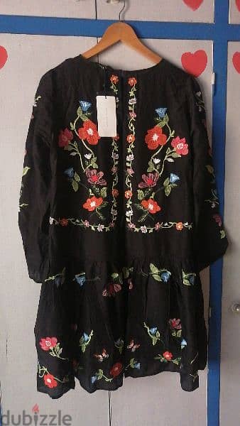 Zara Embroidery dress