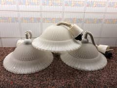 Lights with Ribbed Dome Design 0