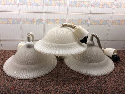 Lights with Ribbed Dome Design