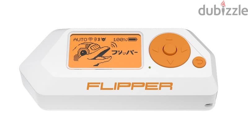 Flipper Zero and accessories 4