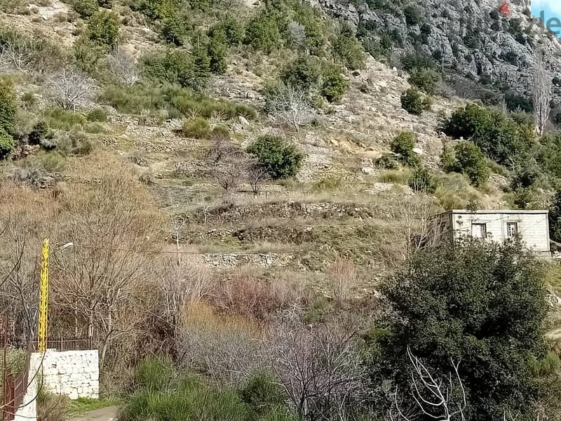 RWB112PK - Land for sale in Tannourine Batroun 2