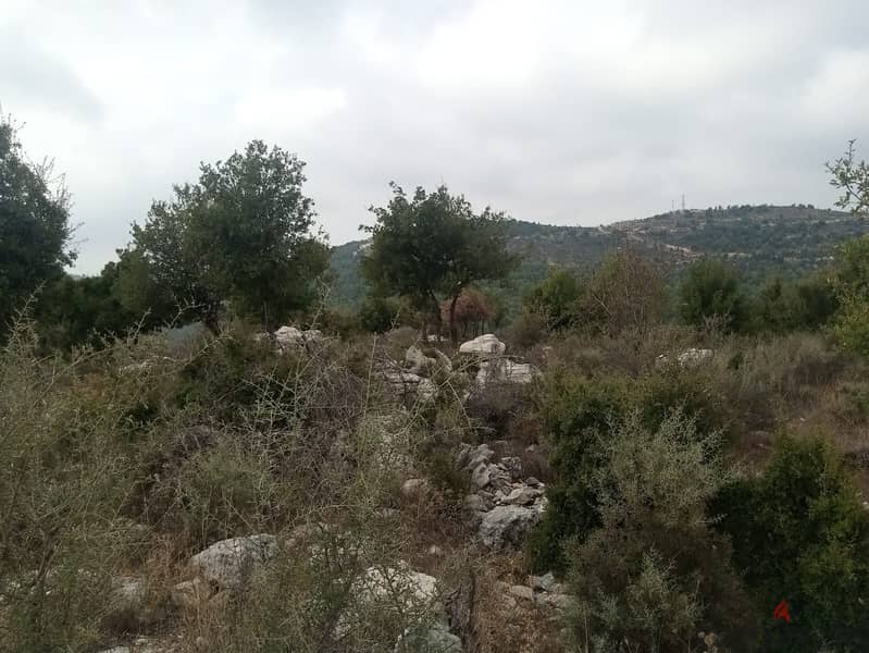 RWB113PK - Land for sale in Mechmech Jbeil 1