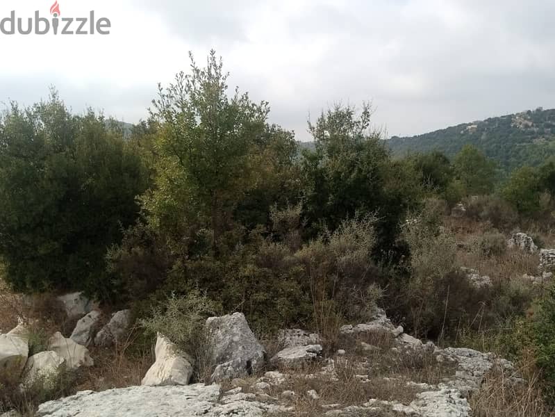 RWB113PK - Land for sale in Mechmech Jbeil 7