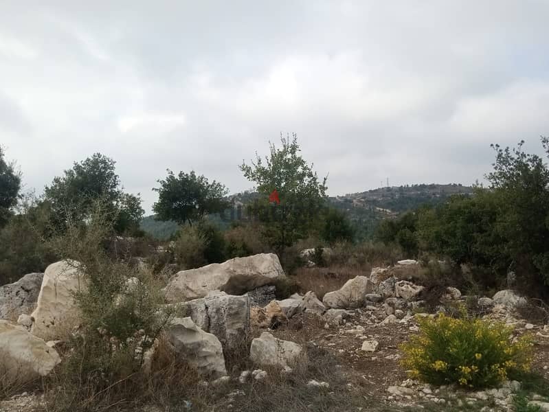 RWB113PK - Land for sale in Mechmech Jbeil 9