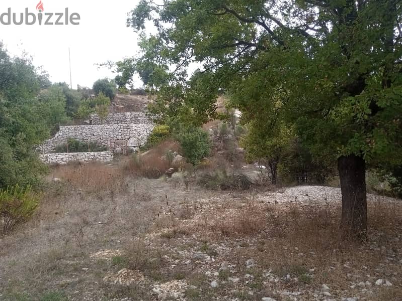 RWB114PK - Land for sale in Mechmech Jbeil 1