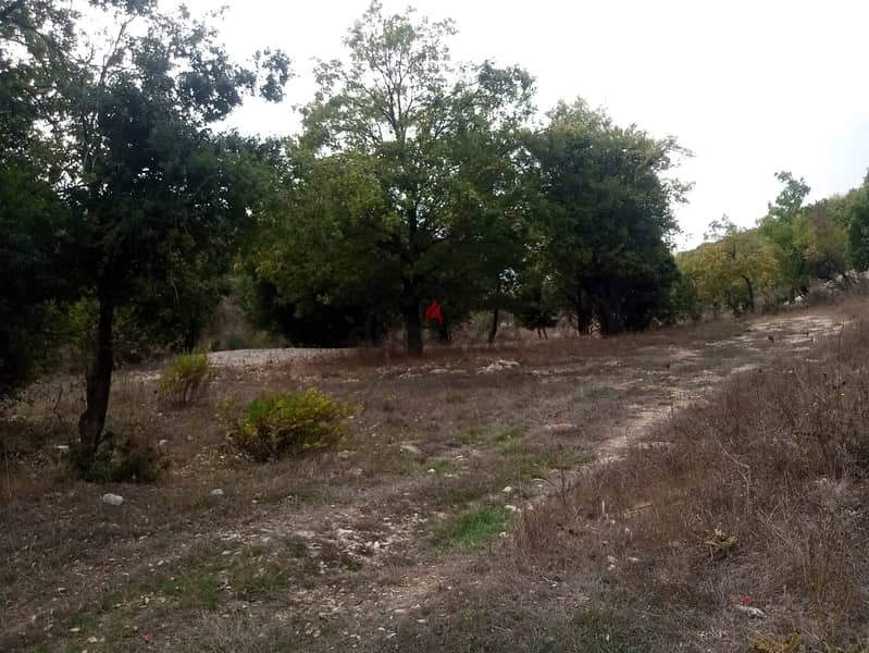 RWB114PK - Land for sale in Mechmech Jbeil 2