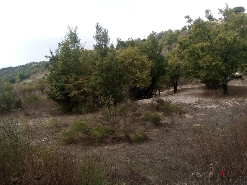 RWB114PK - Land for sale in Mechmech Jbeil 3