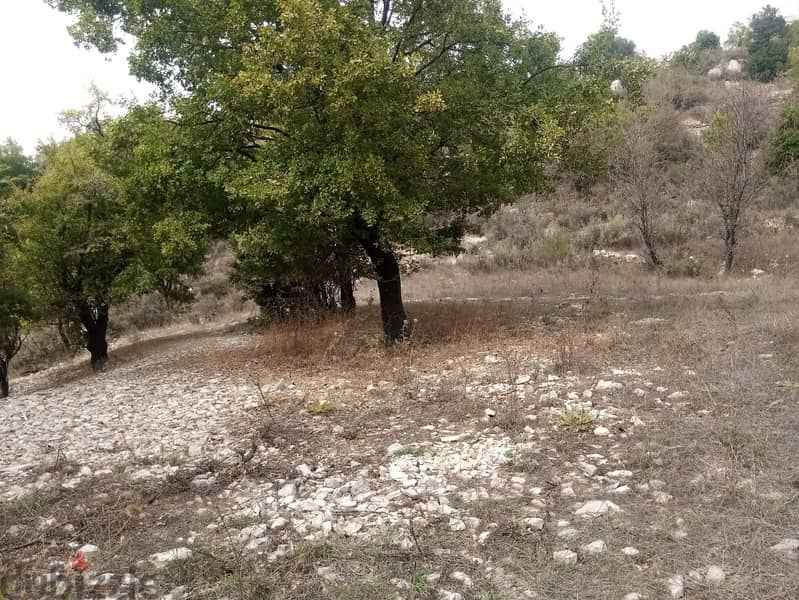 RWB114PK - Land for sale in Mechmech Jbeil 6