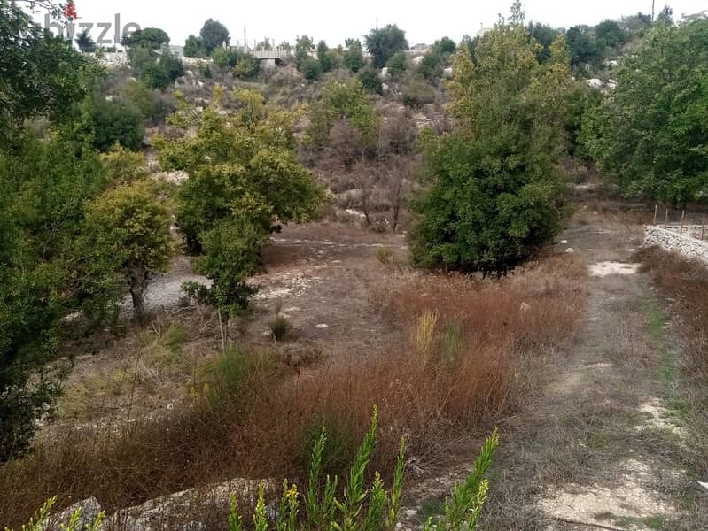 RWB114PK - Land for sale in Mechmech Jbeil 7