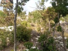 RWB115PK - Land for sale in Mechmech Jbeil 0