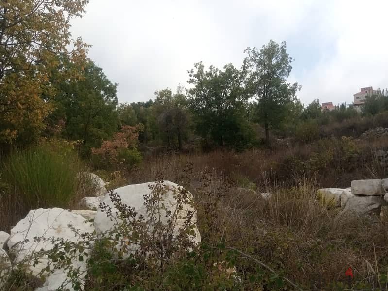 RWB115PK - Land for sale in Mechmech Jbeil 2