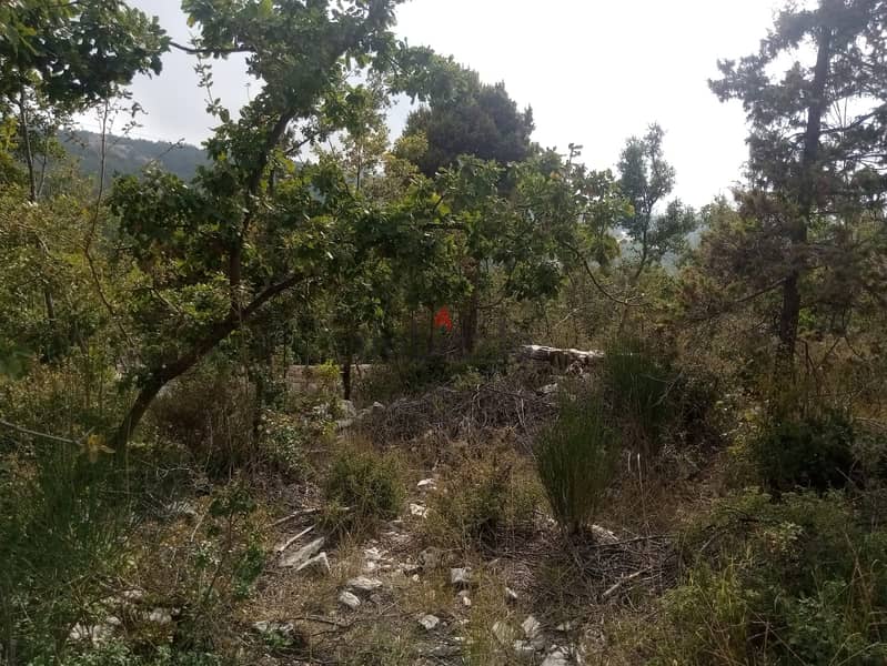 RWB115PK - Land for sale in Mechmech Jbeil 4