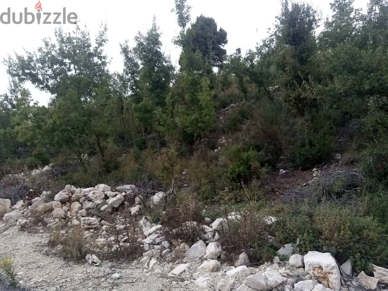 RWB115PK - Land for sale in Mechmech Jbeil 8