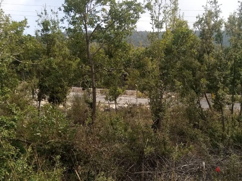 RWB115PK - Land for sale in Mechmech Jbeil 9