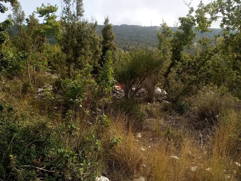 RWB115PK - Land for sale in Mechmech Jbeil 10