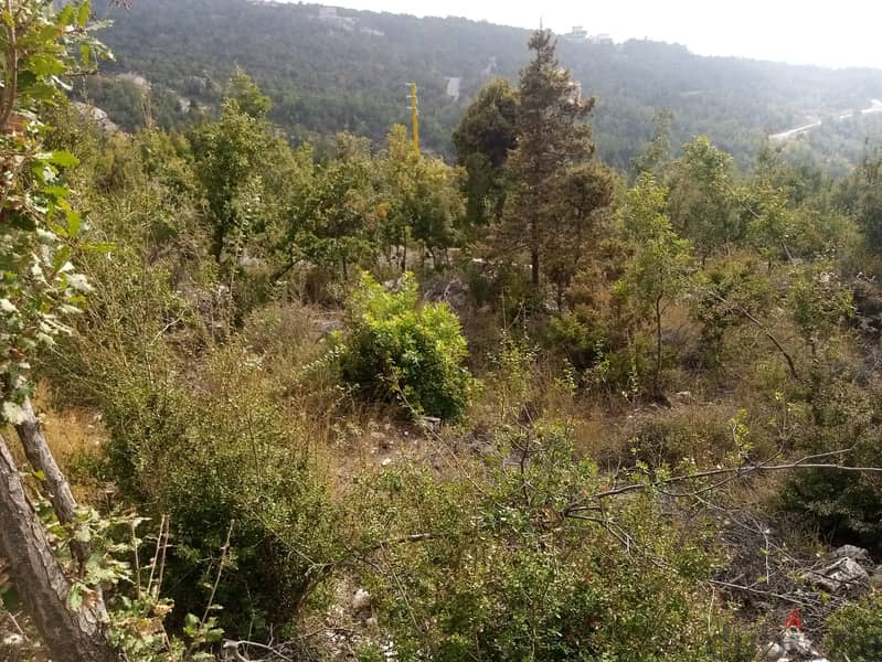 RWB115PK - Land for sale in Mechmech Jbeil 12