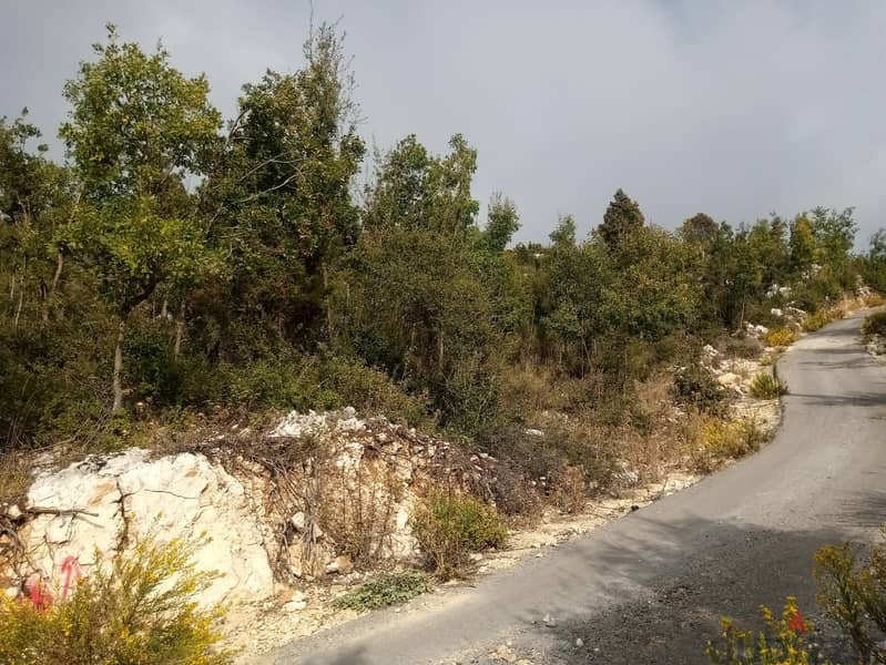 RWB115PK - Land for sale in Mechmech Jbeil 14