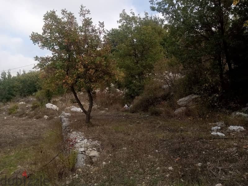 RWB116PK - Land for sale in Mechmech Jbeil 1