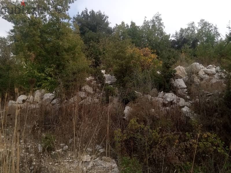 RWB116PK - Land for sale in Mechmech Jbeil 4