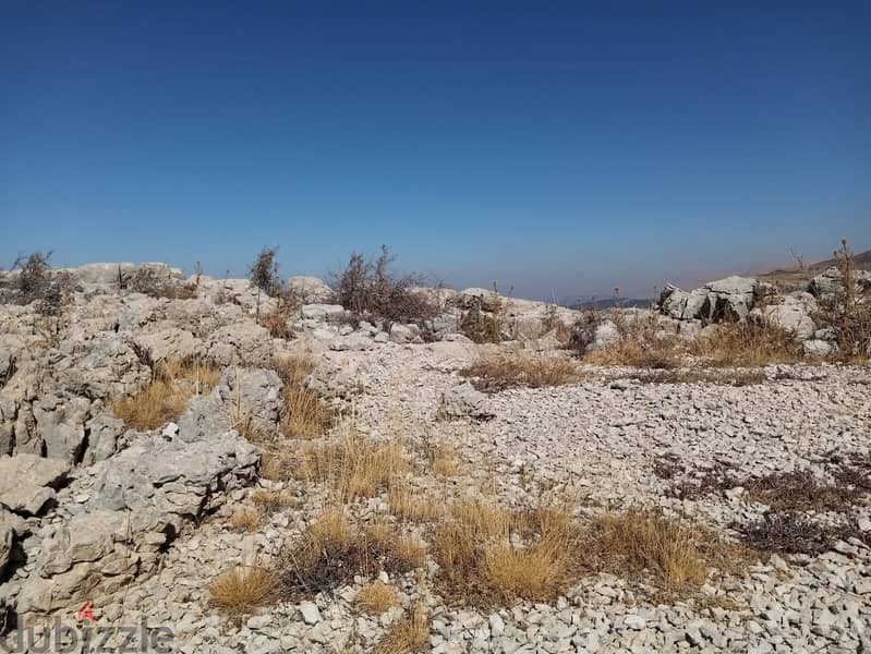 RWB117PK - Land for sale in Laklouk Jbeil 4