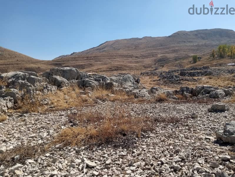 RWB117PK - Land for sale in Laklouk Jbeil 6