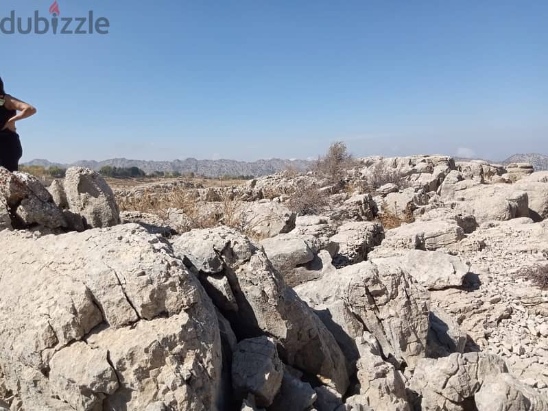 RWB117PK - Land for sale in Laklouk Jbeil 8