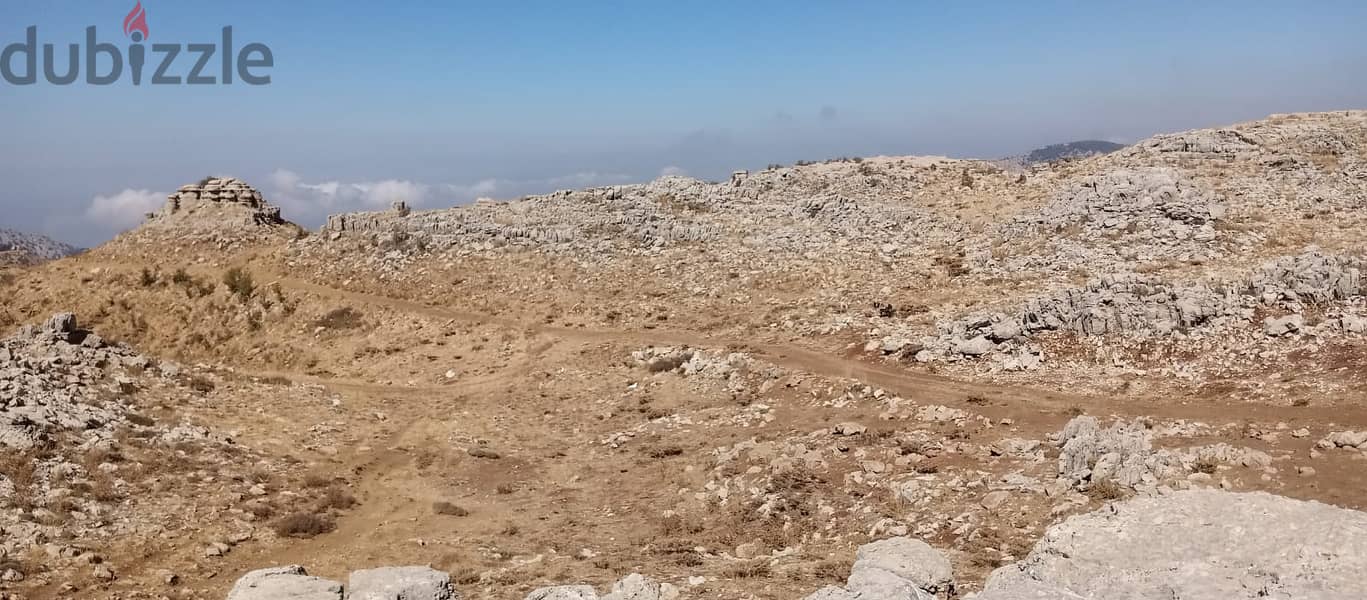 RWB118PK - Land for sale in Laklouk Jbeil 4