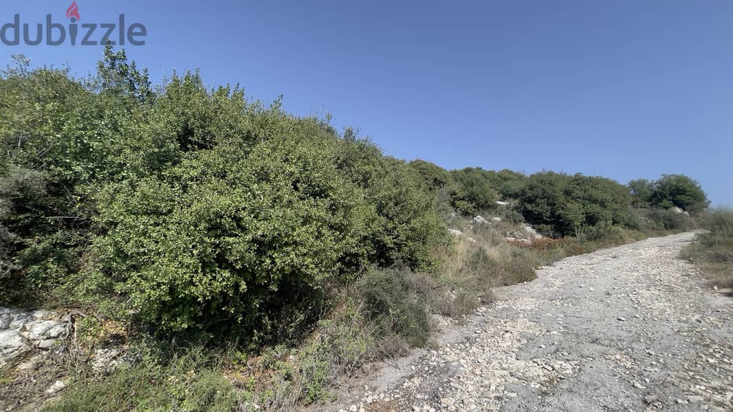 RWB179CA - Land for sale in Gharzouz Jbeil 0