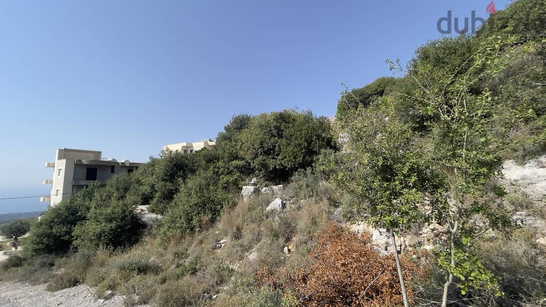 RWB179CA - Land for sale in Gharzouz Jbeil 4