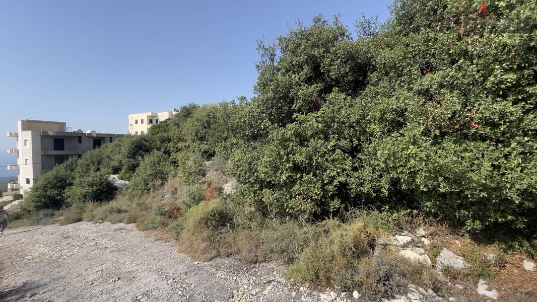 RWB179CA - Land for sale in Gharzouz Jbeil 7