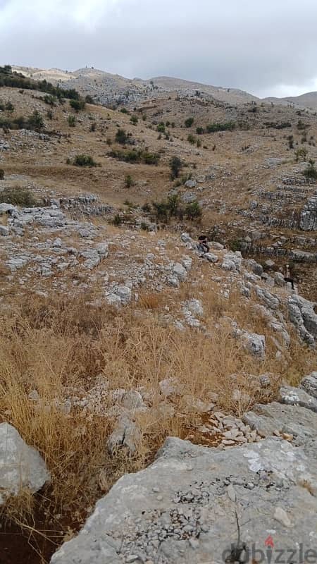 ارض للبيع في  راشيا الوادي عيحا  land for sale in 3ayha rashaya 2