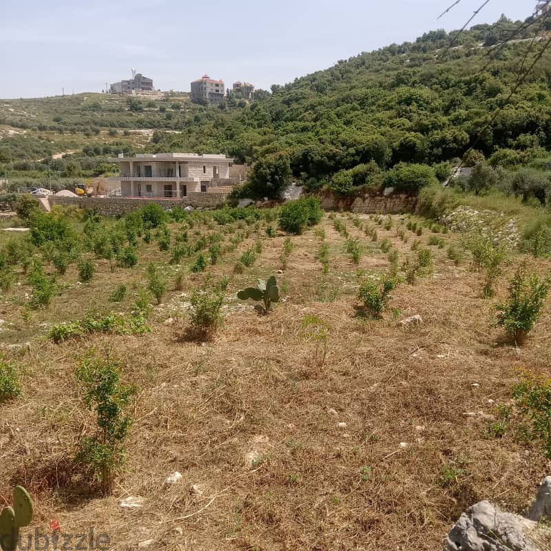 Land for sale in Al koura ارض للبيع في الكورة 1