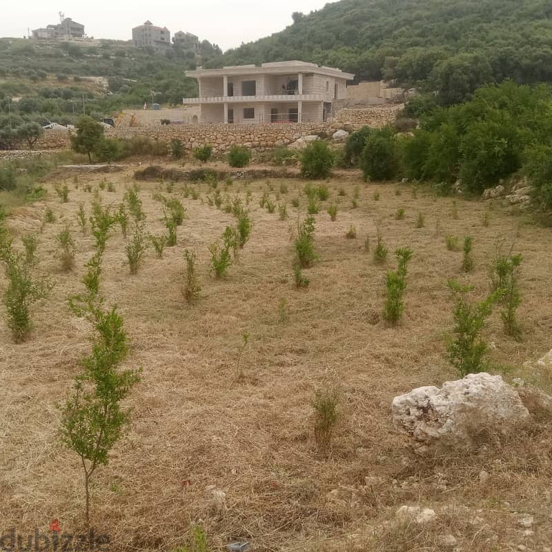 Land for sale in Al koura ارض للبيع في الكورة 2