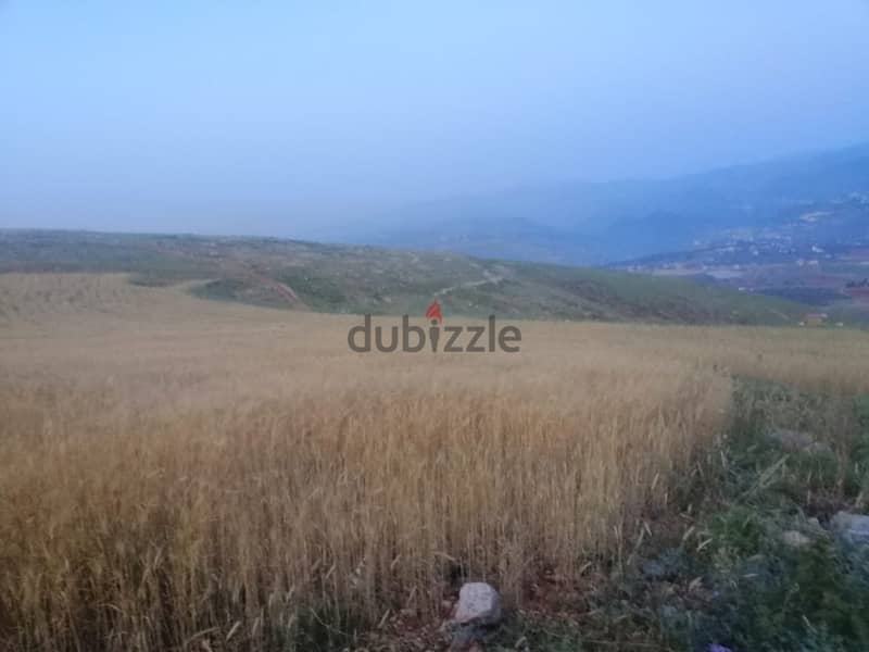 2125 SQM Land in Terbol, North Overlooking the Mountains 1