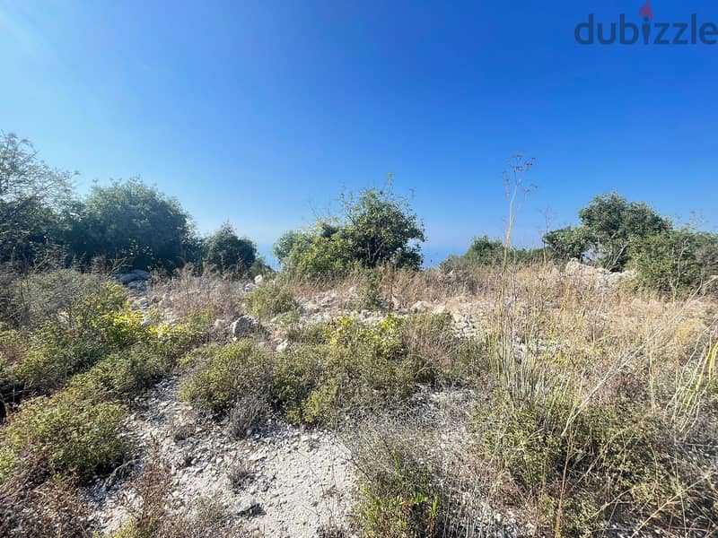 Land for sale in Aalita halat in 2 paymentارض للبيع في حالات بالتقسيط 3