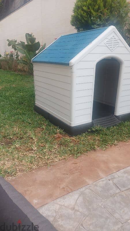 dog house 1