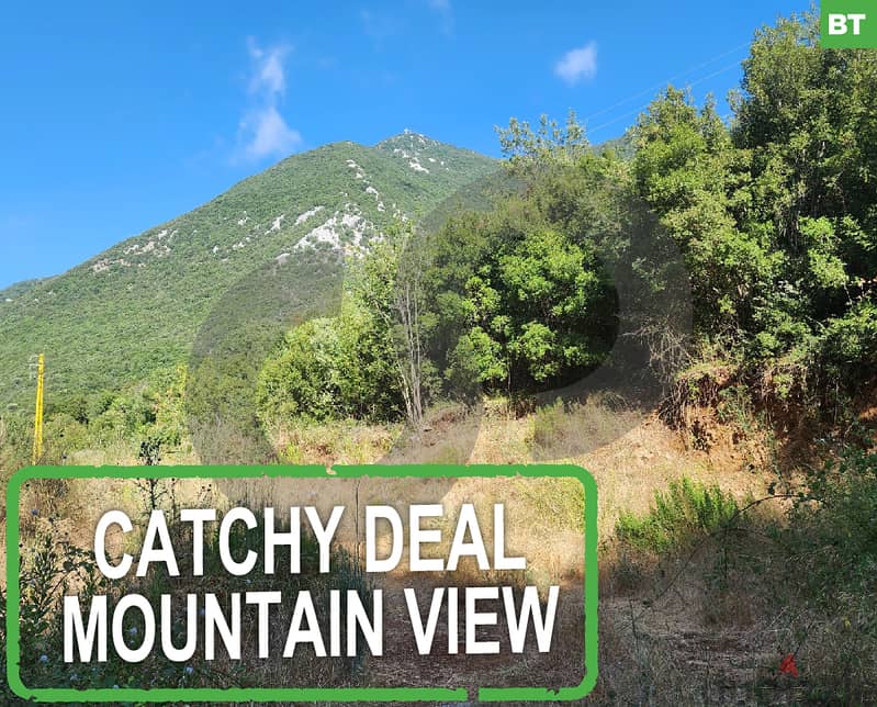 CATCHY DEAL-MOUNTAIN VIEW-Keserwan Yahchouch/يحشوش REF#BT113697 0