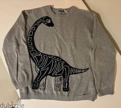 dinosaur grey pull over 0