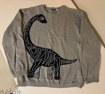 dinosaur grey pull over