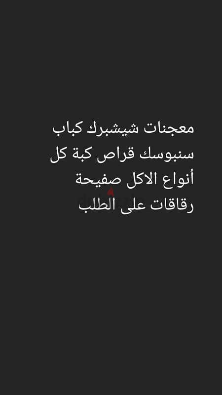 صربا جونية 0